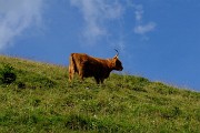 Montagna brembana 2014 - Scatti scelti - FOTOGALLERY